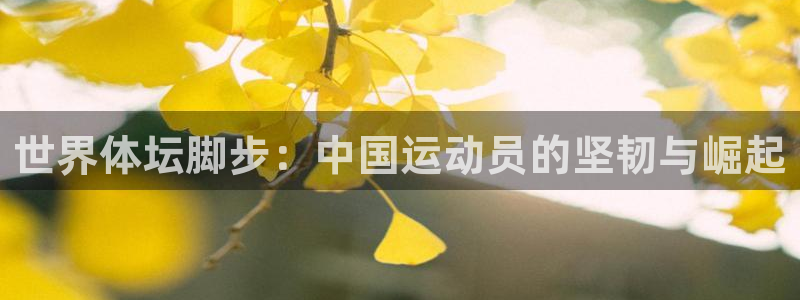 青岛星速体育文化有限公司：世界体坛脚步：中国运动员的坚韧与崛起