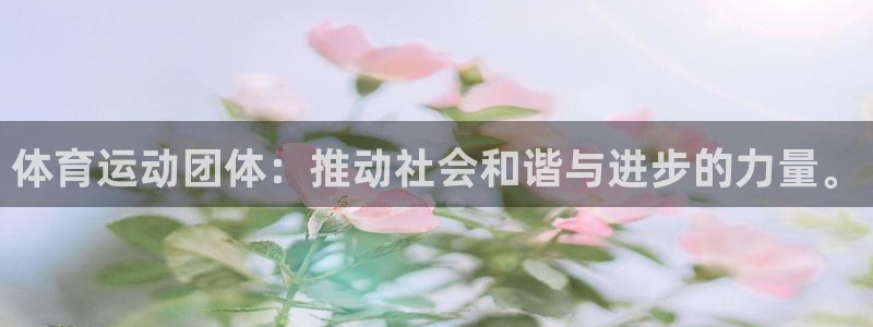 星速体育App下载：体育运动团体：推动社会和谐与进步的力量。