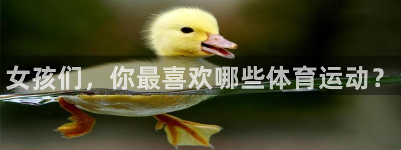 星速体育直播app：女孩们，你最喜欢哪些体育运动？