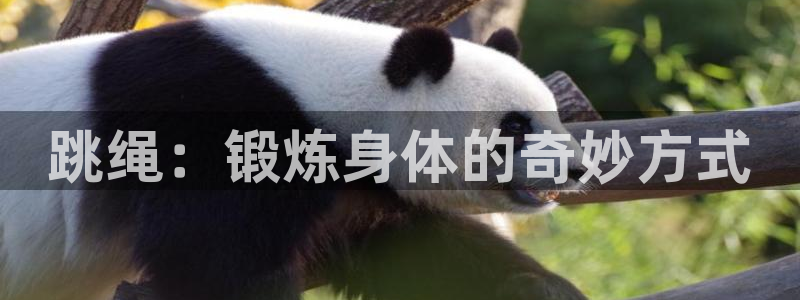 星速体育网脂1267碘top：跳绳：锻炼身体的奇妙方式