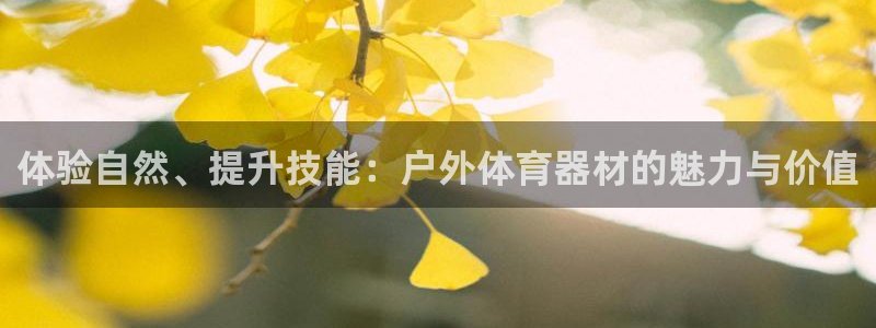 星速体育在线观看：体验自然、提升技能：户外体育器材的魅力与价值