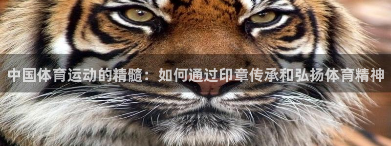 星速体育app下载官网鲸鱼视频：中国体育运动的精髓：如何通过印章传承和弘扬体育精神