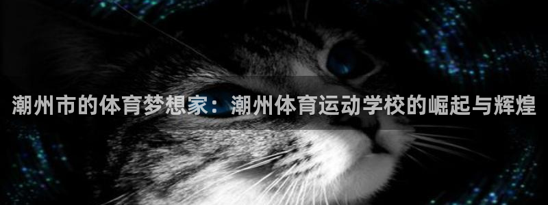 星速体育app下载安装：潮州市的体育梦想家：潮州体育运动学校的崛起与辉煌