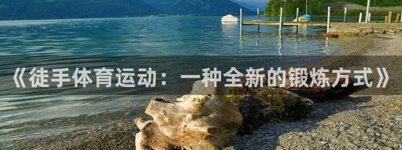 星速体育直播下载：《徒手体育运动：一种全新的锻炼方式》